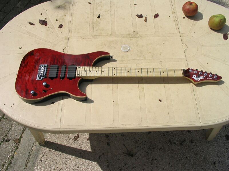 Vigier Excalibur