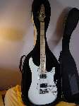 Vigier Excalibur